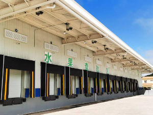 中老铁路磨憨铁路口岸物流装卸系统